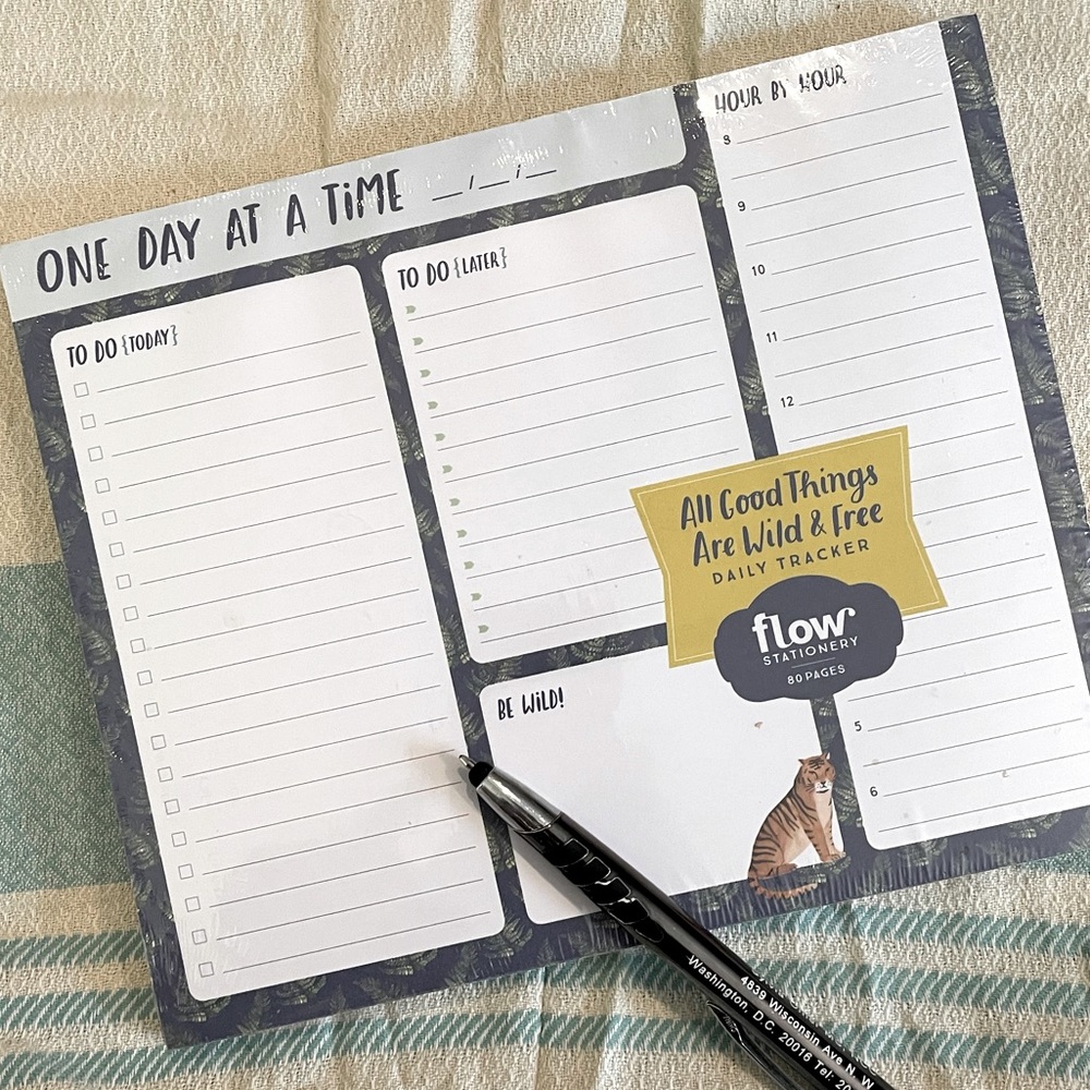 🥳2/$15 — FLOW Stationary Daily Tracker One Day at a Time NEW